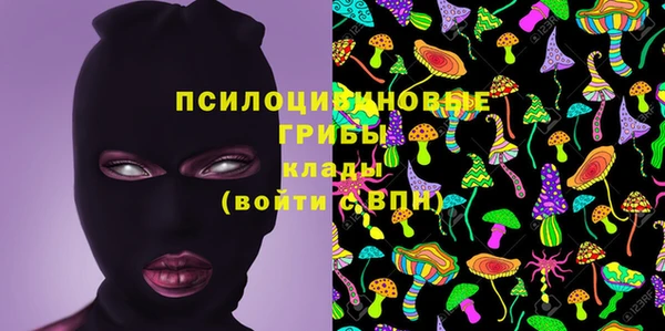стаф Белокуриха