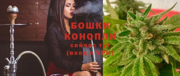 стаф Белокуриха