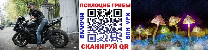 Псилоцибиновые грибы GOLDEN TEACHER  Вязники 