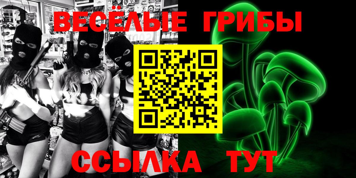 Псилоцибиновые грибы Cubensis  Вязники 