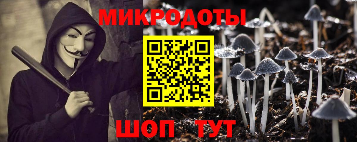 Галлюциногенные грибы Cubensis Вязники