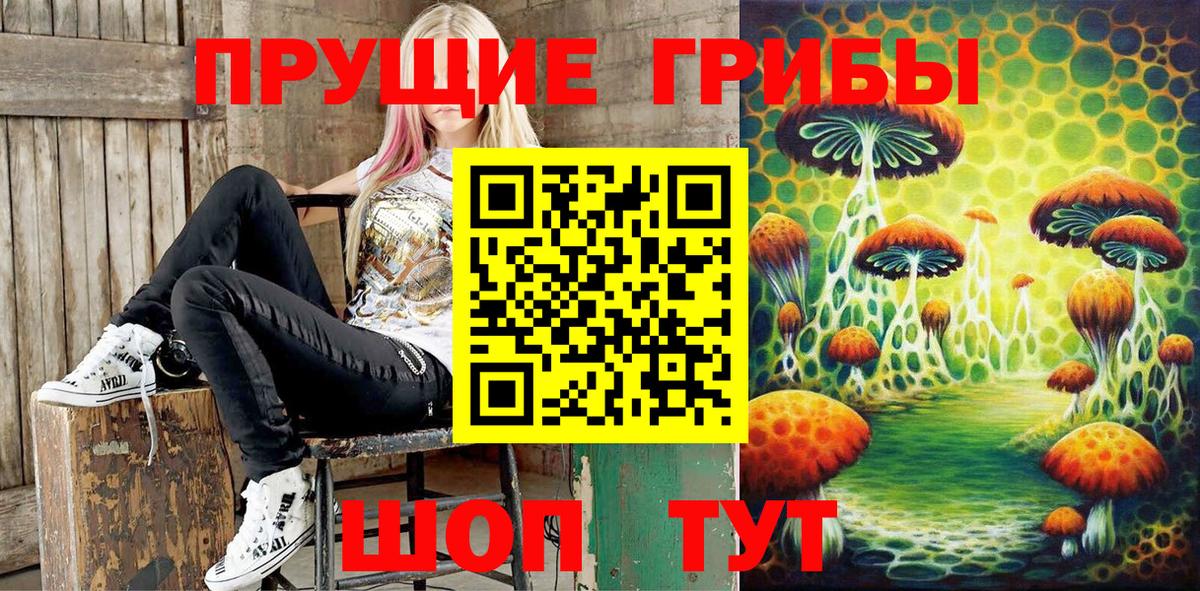 Псилоцибиновые грибы ЛСД Вязники