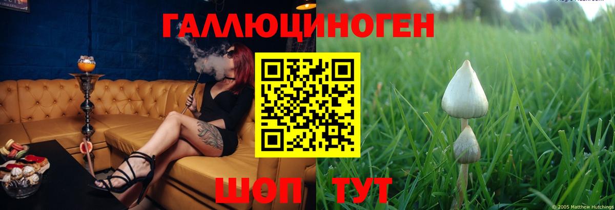 Вязники  Галлюциногенные грибы Psilocybine cubensis  Вход с VPN 